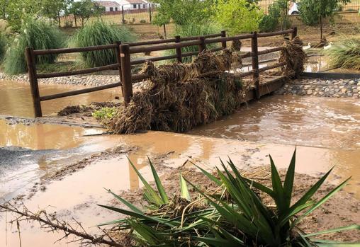 El parque del Prado de Guadamur, lleno de barro y restos de vegetación