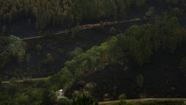 Extinguido el gran incendio de Ribas do Sil tras casi 1.600 hectáreas quemadas