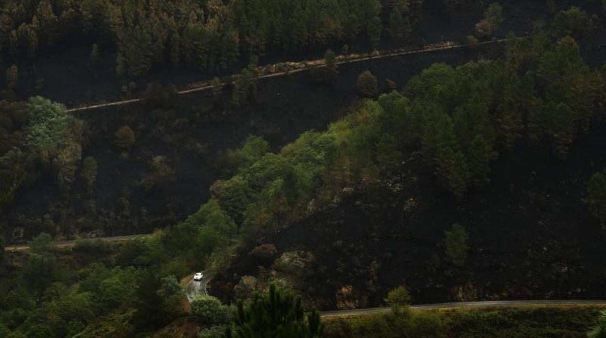 Territorio quemado por el fuego