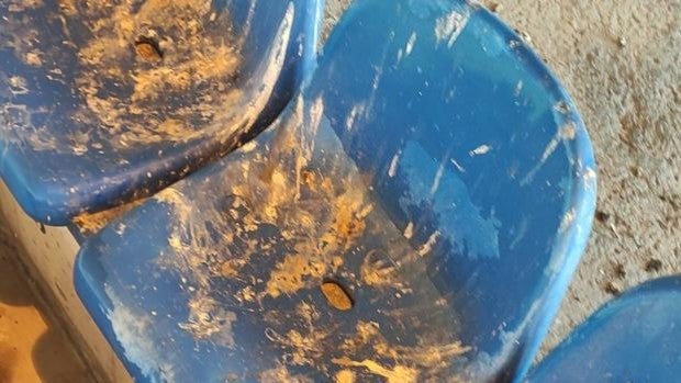 Las quejas por la insalubridad del estadio Rico Pérez llegan a la Generalitat Valenciana, dueña del estadio desde 2017