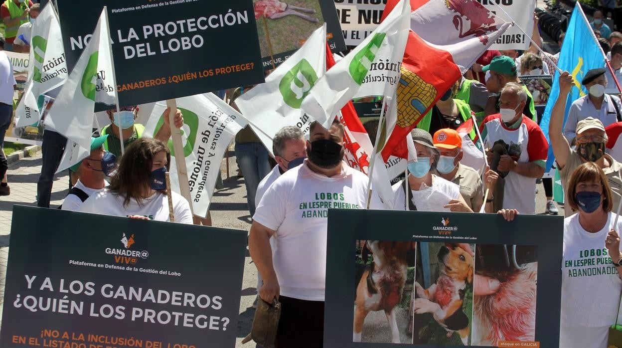 Protesta en Madrid de los ganaderos frente a la medida del Gobierno