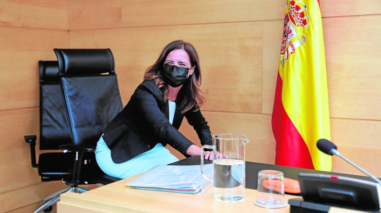 Carlota Amigo durante la comparecencia