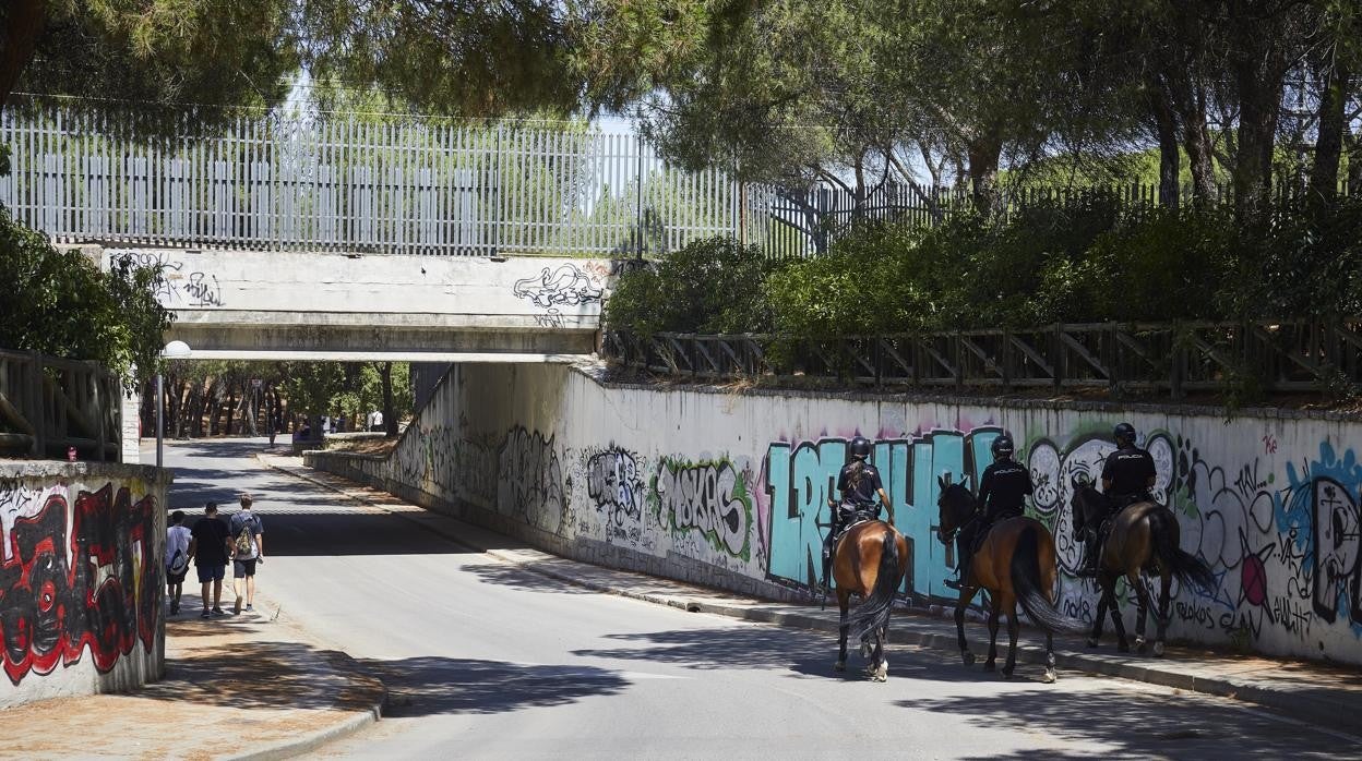 Agentes nacionales de la Unidad de Caballería, en Batán