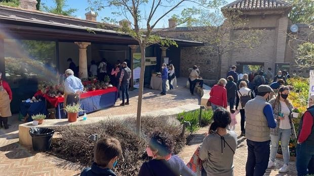 El Mercado de las Flores regresa este sábado al Jardín de San Lucas