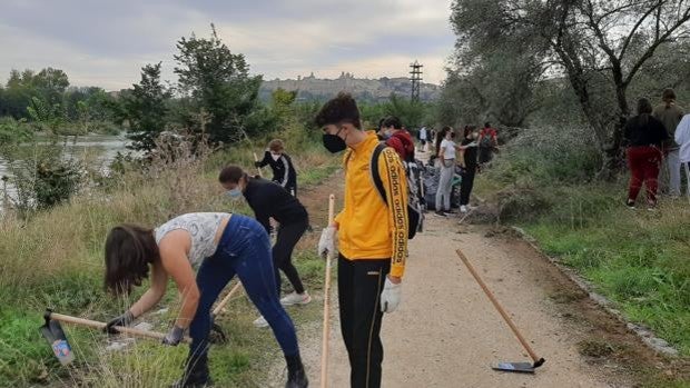 Alumnos del IES María Pacheco realizan una batida de limpieza en el entorno de Polvorines
