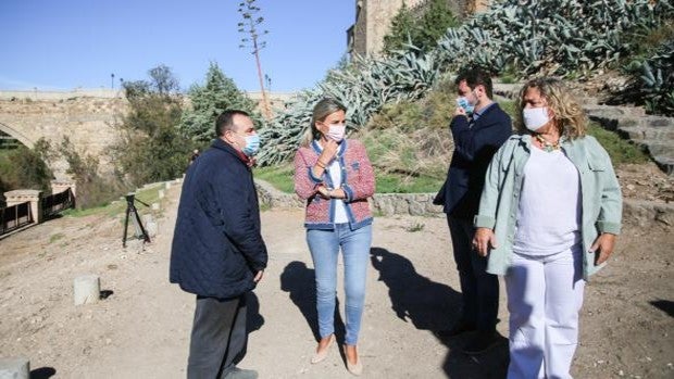 «Gran» plan de arbolado en Toledo en 2022 para reparar los daños de 'Filomena'