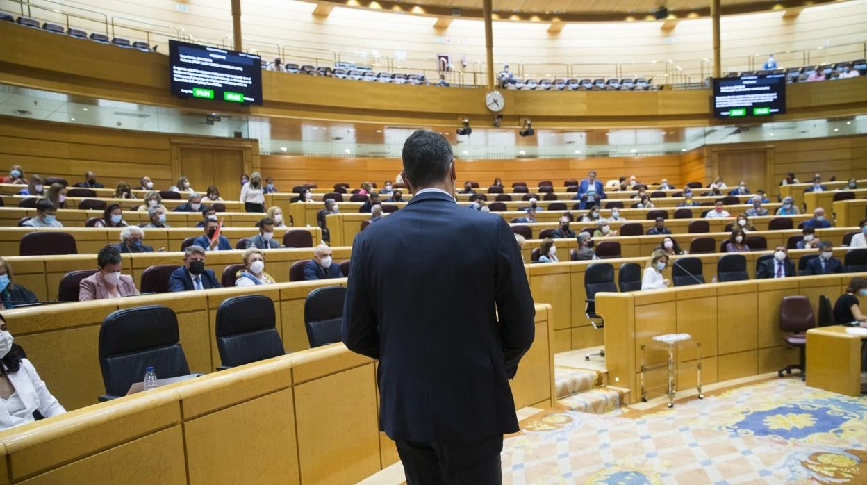 En directo: Sesión de control al Gobierno en el Senado