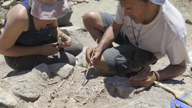 Hallan restos arqueológicos en Alicante de tumbas dentro de las casas antes de las pirámides de Egipto