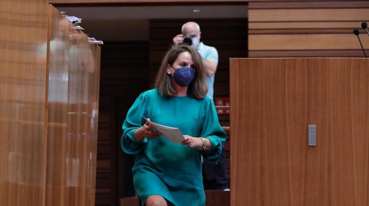 La socialista Patricia Gómez, momentos antes de iniciar su intervención de ayer en el Pleno de las Cortes,