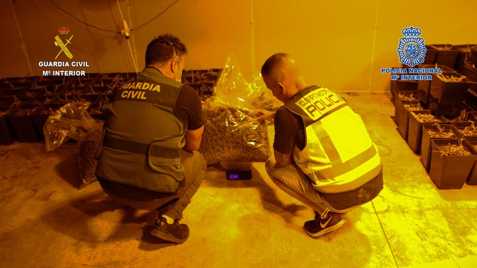 La Policía Nacional y la Guardia Civil desarticulan una organización criminal dedicada al tráfico de drogas en Alginet