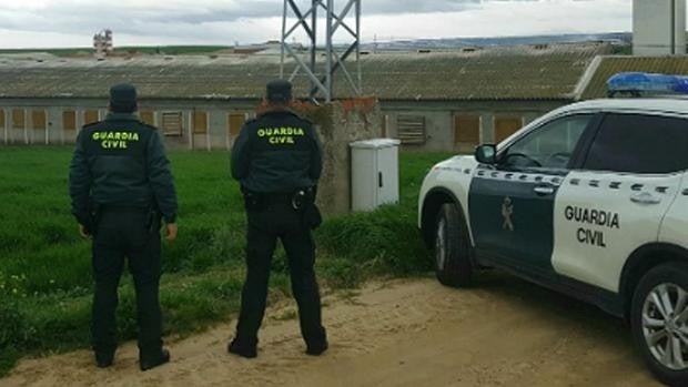 Asaja reclama «más control» para terminar con el fraude y los robos en el campo de Castilla-La Mancha