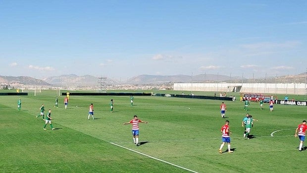 1-1: El Toledo arranca un punto en Granada que sabe a poco
