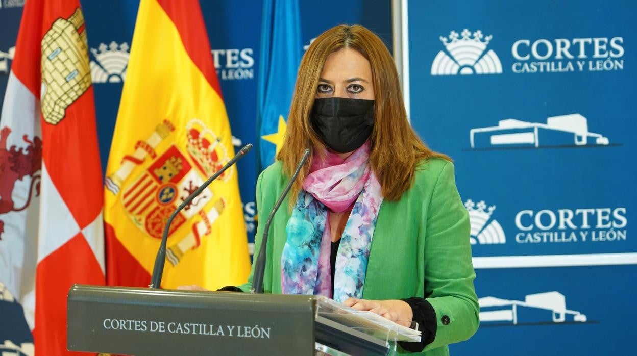 Virginia Barcones, viceportavoz en las Cortes del PSCL