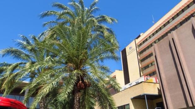 El barrio de Carrús de Elche vuelve a ser el más pobre de España