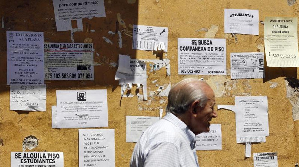 Un hombre pasa por delante de varios carteles de búsqueda de piso, en una imagen de archivo