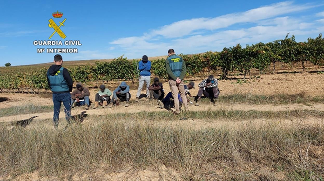 Liberadas 14 personas que eran explotadas durante la vendmia en la provincia de Burgos