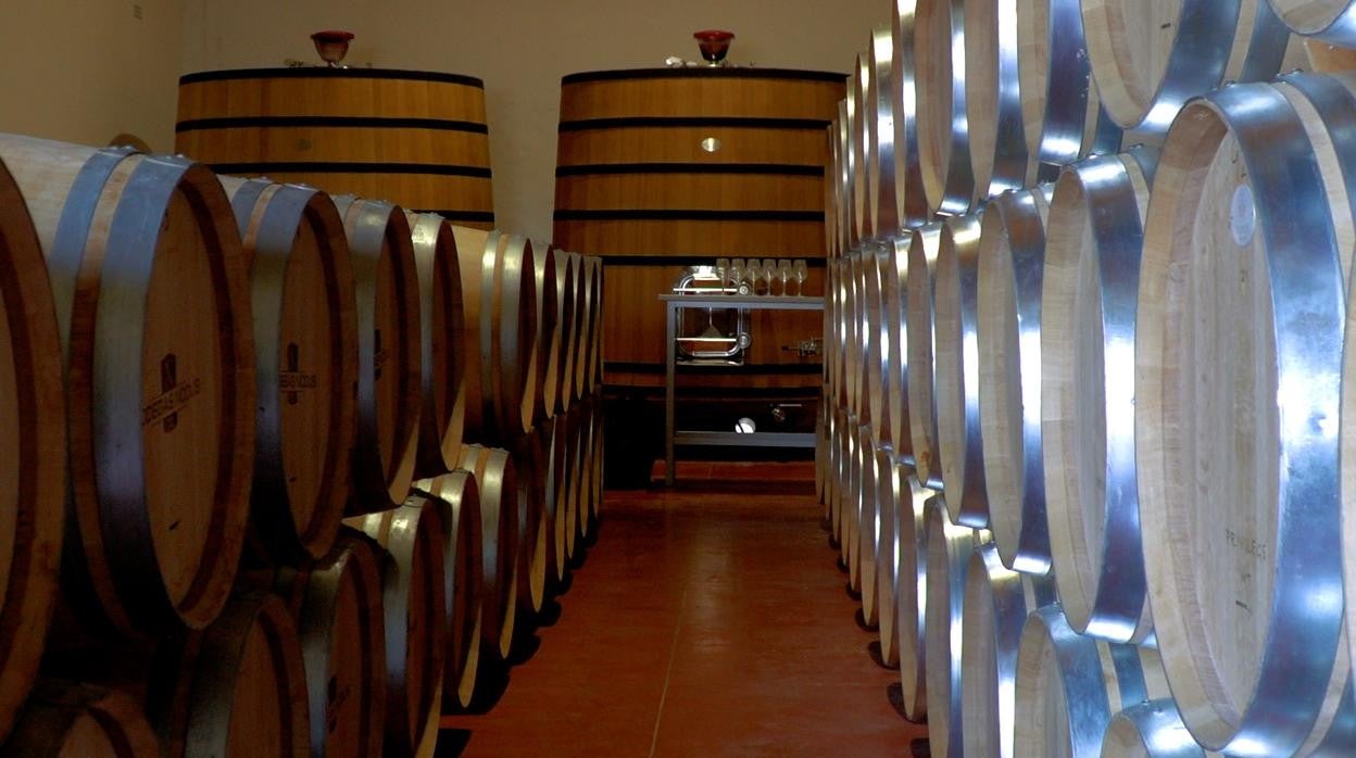 Imagen de las instalaciones de Bodegas Nodus en Valencia