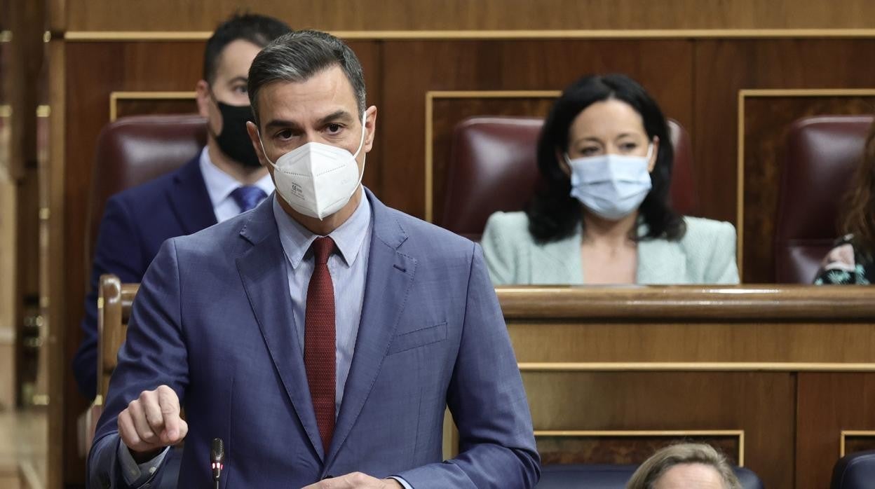 Pedro Sánchez durante la sesión de control al Gobierno