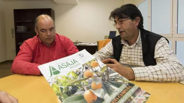 Nueva crisis agraria: «Es más fácil encontrar una naranja ecológica en Dinamarca que en Alicante»