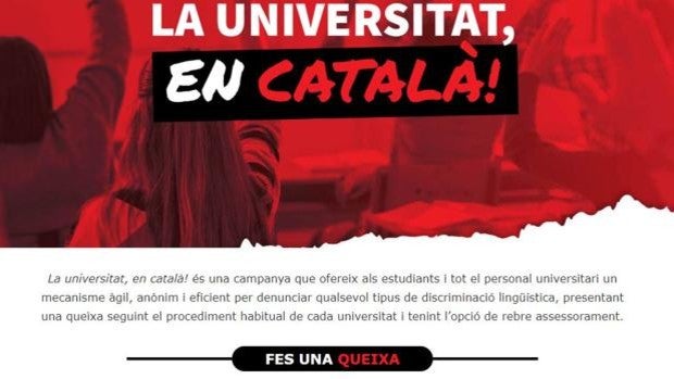 Crean una web para presentar quejas contra profesores de universidades valencianas que no den clase en catalán