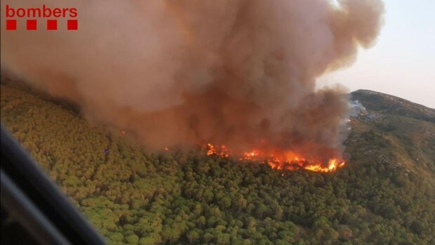 Detenido el pirómano que quemó 91 hectáreas del macizo del Montgrí (Gerona)