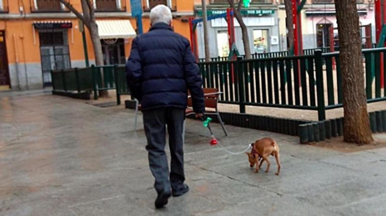 Hasta la fecha no recoger el excremento de la mascota se consideraba una infracción leve y la multa no excedía de 250 euros