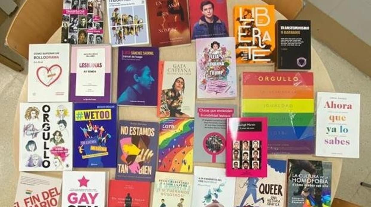 Recurren ante el TSJ valenciano el auto que levantó el veto a los libros de temática LGTBI en Castellón