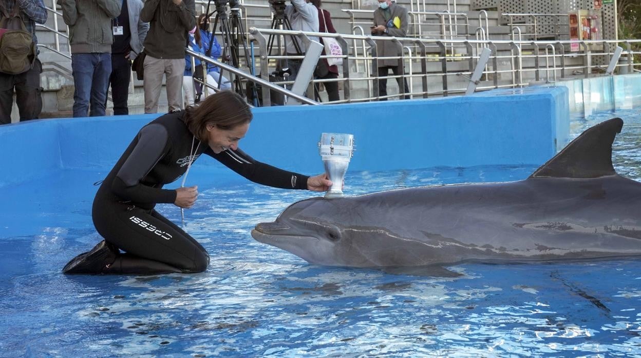 Imagen de una profesional realizando una espirometría a uno de los delfines del Oceanogràfic