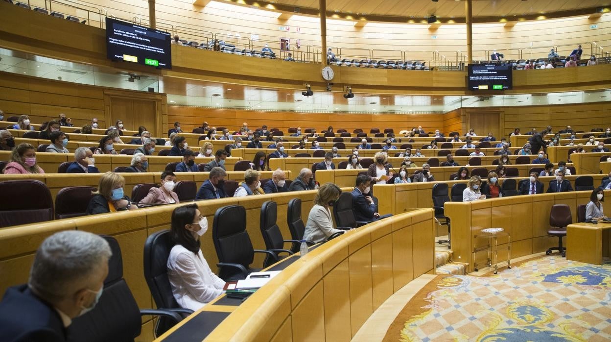 Imagen de archivo de una sesión de control al Gobierno en el Senado