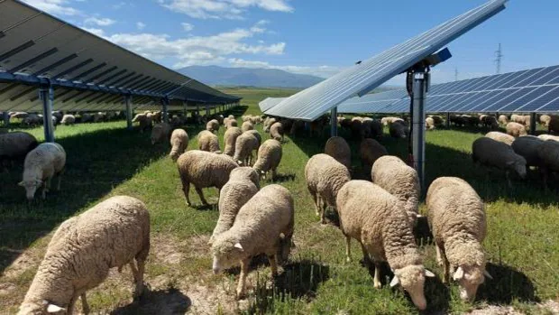 Atitlan Helios promueve una planta solar fotovoltaica en Monóvar y Salinas con un impacto ambiental mínimo y la creación de 600 puestos de trabajo
