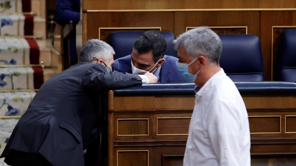 Marlaska y Sánchez, con el portavoz adjunto de Bildu, Oskar Matute, en primer plano