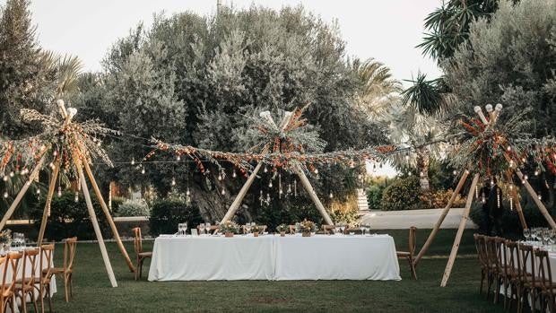 Murri Catering montará eventos en la finca El Torrero con 10.000 metros de palmeras y olivos en Elche