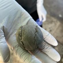 Pelota de trinquet encontrada en las Torres de Serrano