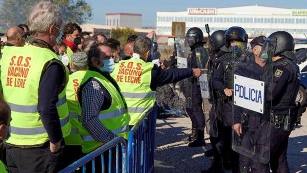 Mucha tensión en la tractorada de los ganaderos de vacuno de leche de Talavera