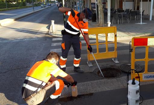 Imagen de trabajos sobre el terreno