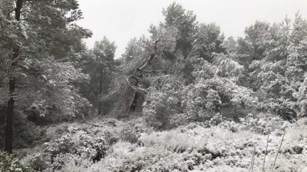 Las impresionantes imágenes de la nieve que ha dejado la DANA en Alicante