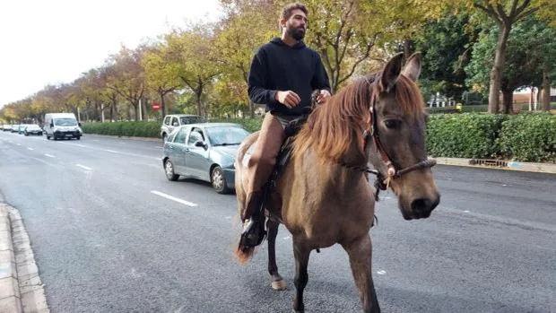 El ganadero que protestó a caballo en el centro de Valencia logra una prórroga para usar los pastos