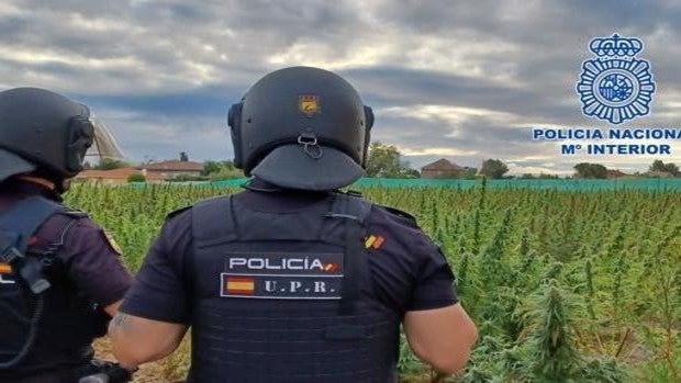 Dos agentes de la Unidad de Prevención y Reacción, en la plantación de Borox