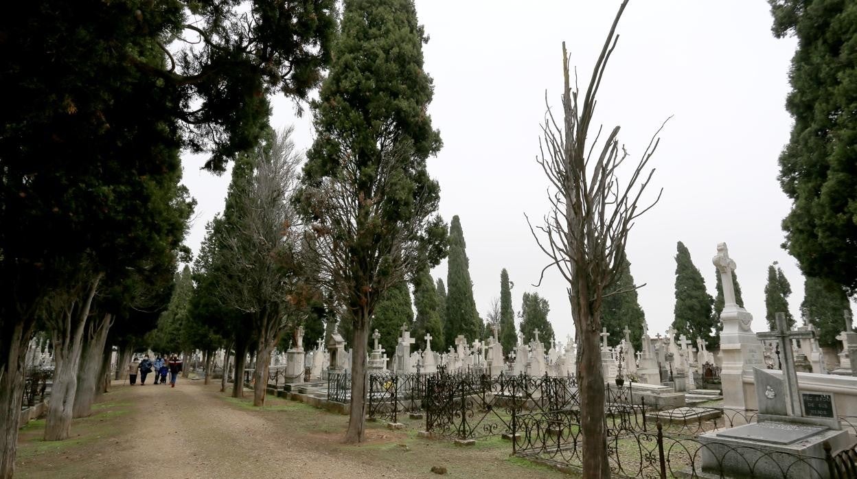 Un cementerio en una imagen de archivo