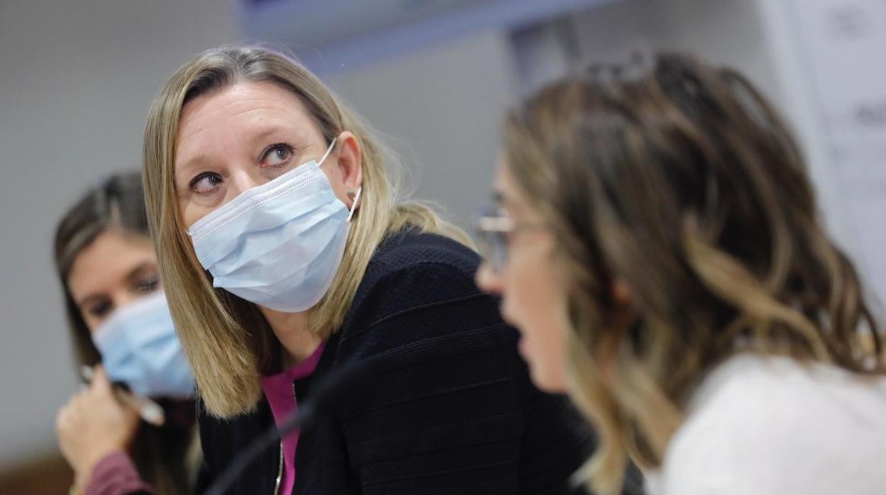 La consejera de Familia, Isabel Blanco, durante la presentación del V Plan Estratégico de Juventud