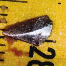 Crimen de Meco: la juez ordena investigar a un nuevo sospechoso y que se tome su ADN