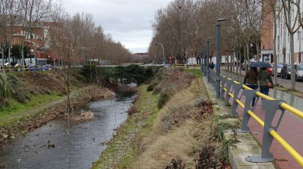 l Paseo del Cauce de Valladolid, lugar en el que han ocurrido los hechos.