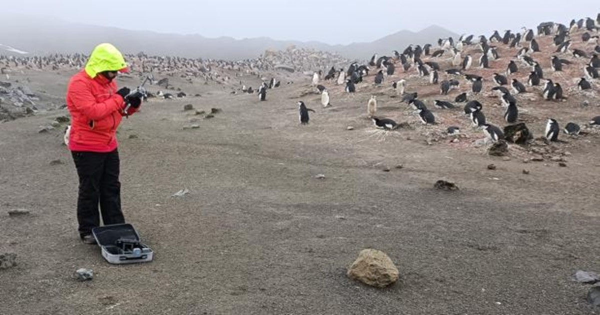 El Ejército de Tierra inició el 19 de diciembre la XXXV Campaña Antártica Española