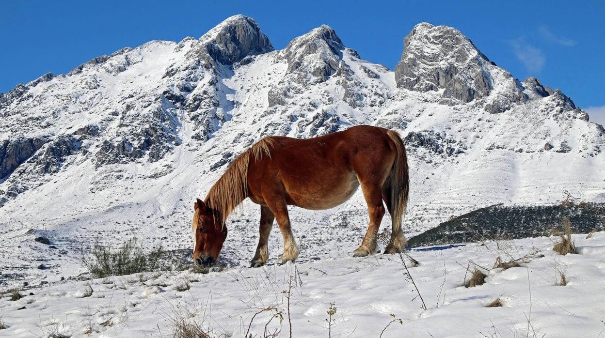 Nevada en la comarca de la Tercia