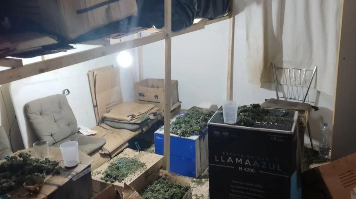 Imagen del laboratorio de marihuana desarticulado en la localidad valenciana de Simat de la Valldigna