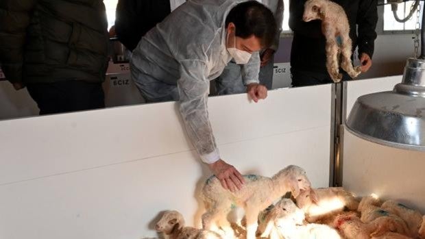 Mañueco destaca la «honestidad» y «responsabilidad» del sector ganadero de Castilla y León