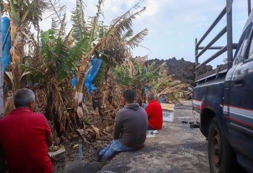 Agricultores observan la colada a apenas unos metros de su finca