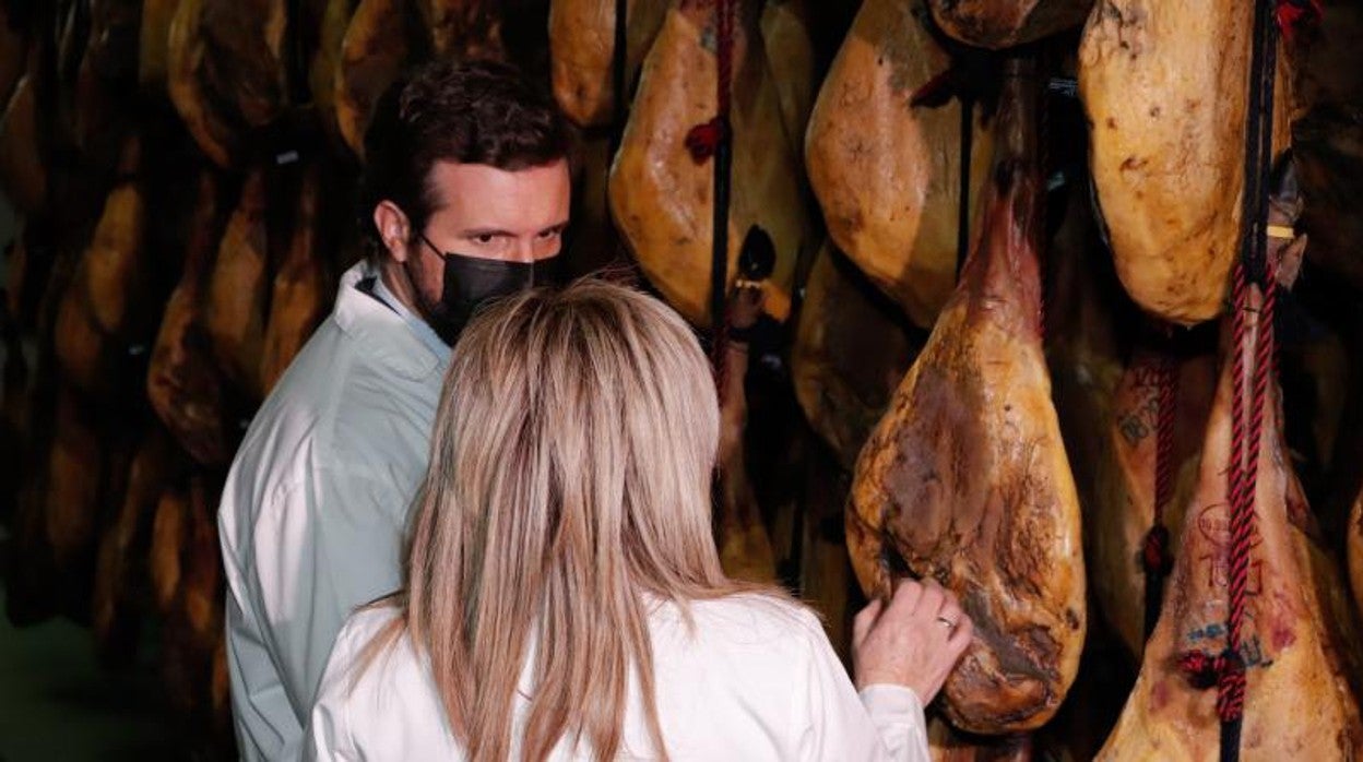 Pablo Casado visitó el lunes un secadero de jamones en Guijuelo (Salamanca)