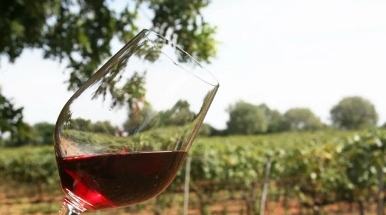 Estas son las seis bodegas de Castilla-La Mancha que triunfan con sus vinos ecológicos en Challenge Millésime Bio 2022