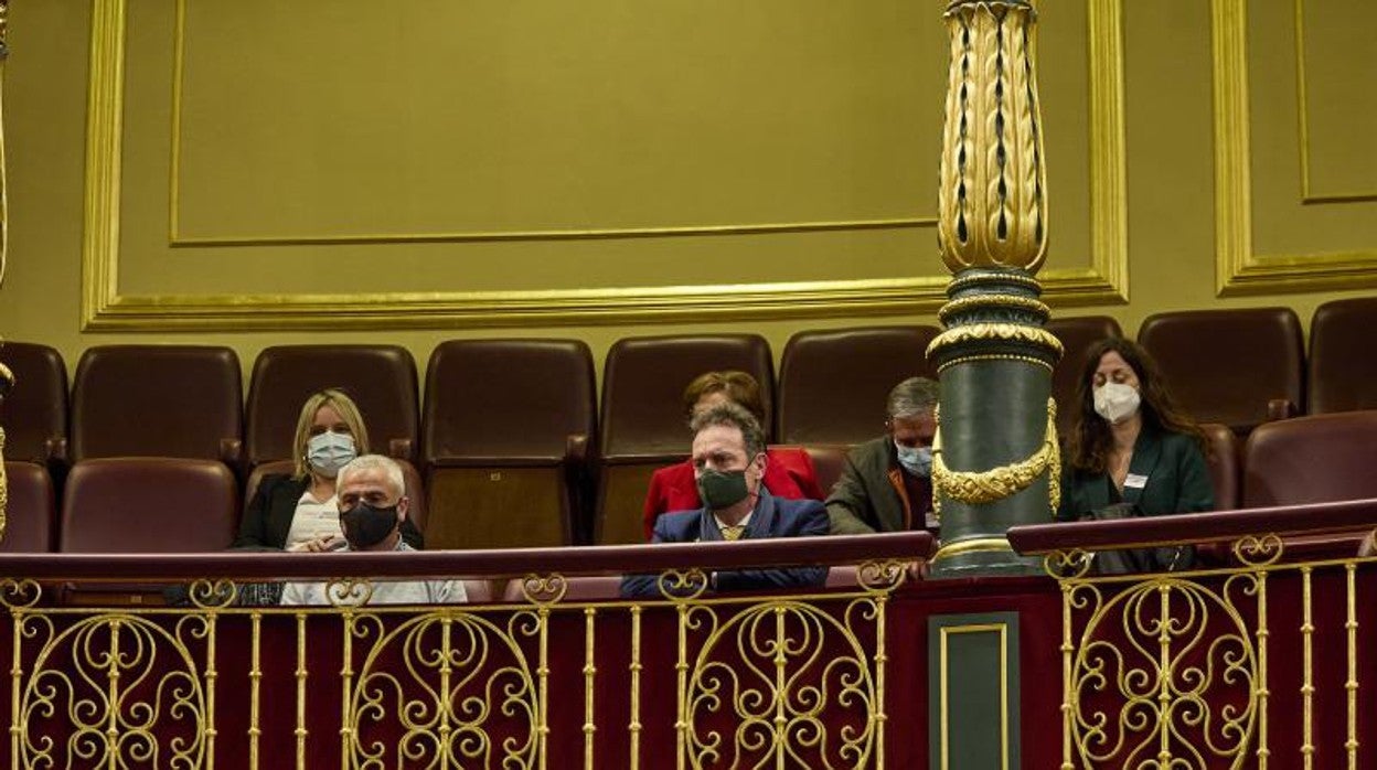 Miembros de la AVT y de Dignidad y Justicia en el Pleno del Congreso de este martes
